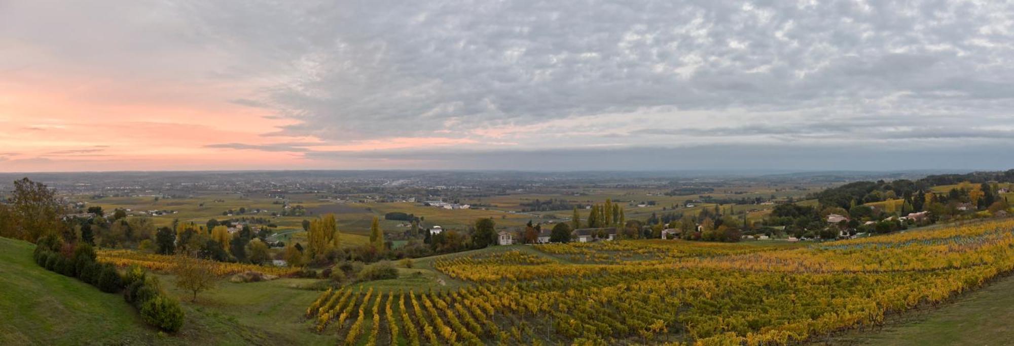 Le Domaine De La Tour Des Vents Bed & Breakfast Bergerac Dış mekan fotoğraf