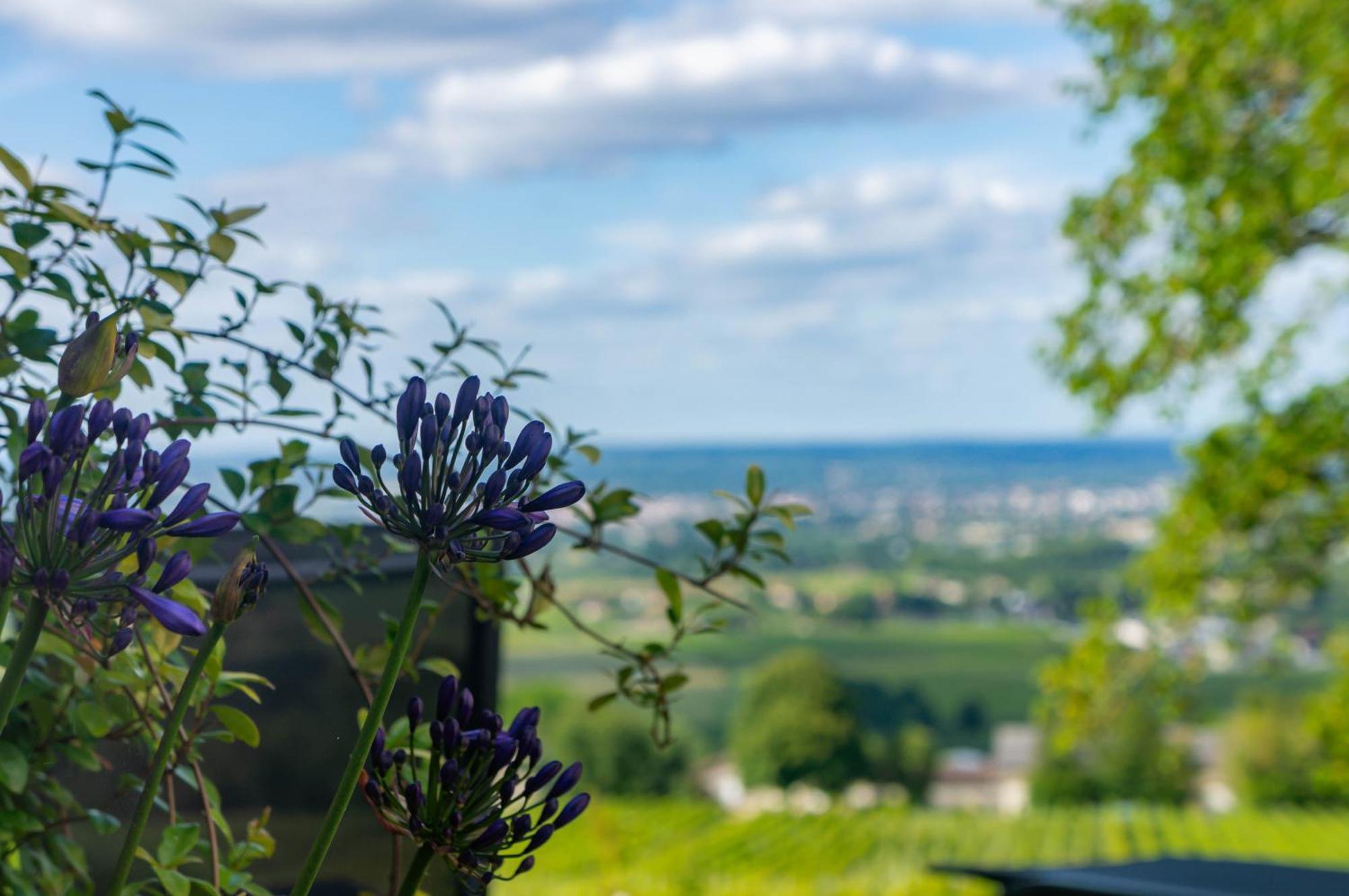 Le Domaine De La Tour Des Vents Bed & Breakfast Bergerac Dış mekan fotoğraf